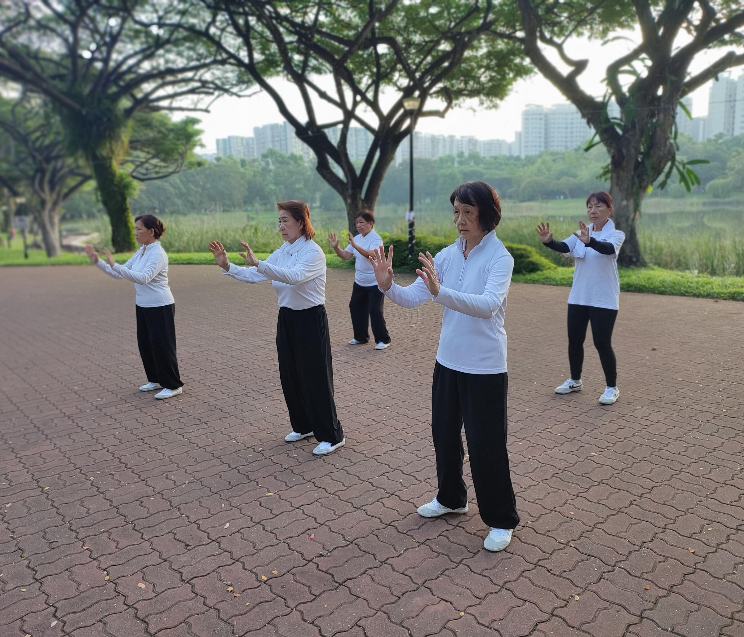 Haotaiji - Standing Practise