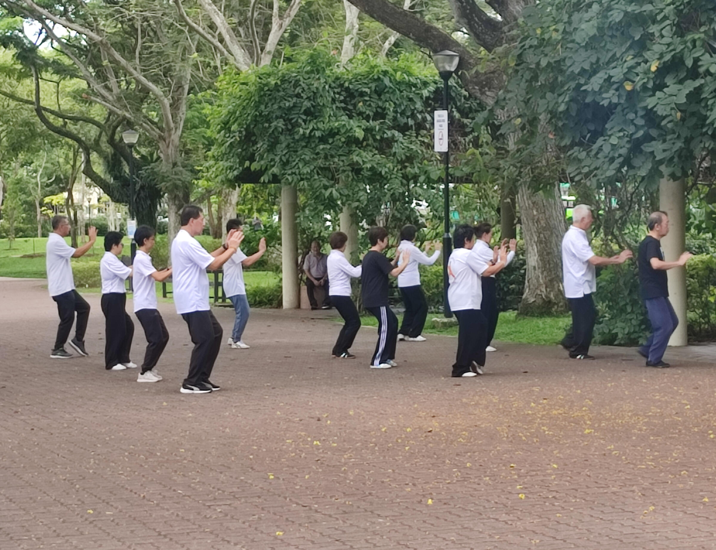 Haotaiji - Group Practise Haotaiji - Group Practise